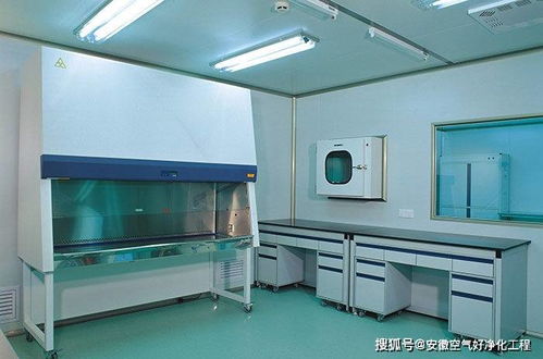 合肥市無(wú)菌凈化車間設(shè)計(jì)與施工 以惟物實(shí)驗(yàn)室為例的實(shí)踐解析