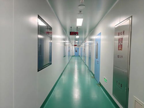 中原醫(yī)學(xué)科學(xué)城動(dòng)物實(shí)驗(yàn)室投用 惟物實(shí)驗(yàn)室開(kāi)啟生命科學(xué)研究新篇章