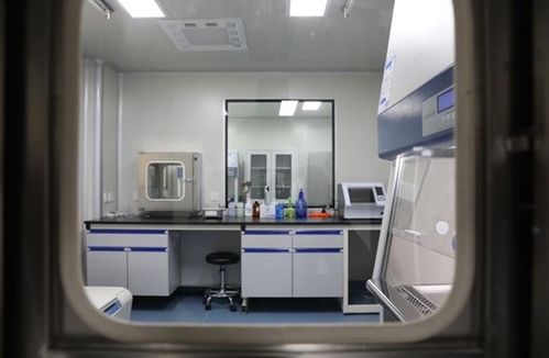 大竹縣建成二級(jí)生物安全實(shí)驗(yàn)室，每日檢測(cè)能力達(dá)200人份