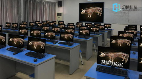 動(dòng)物虛擬解剖系統(tǒng) 惟物實(shí)驗(yàn)室引領(lǐng)數(shù)字動(dòng)物解剖學(xué)與實(shí)驗(yàn)課程改革
